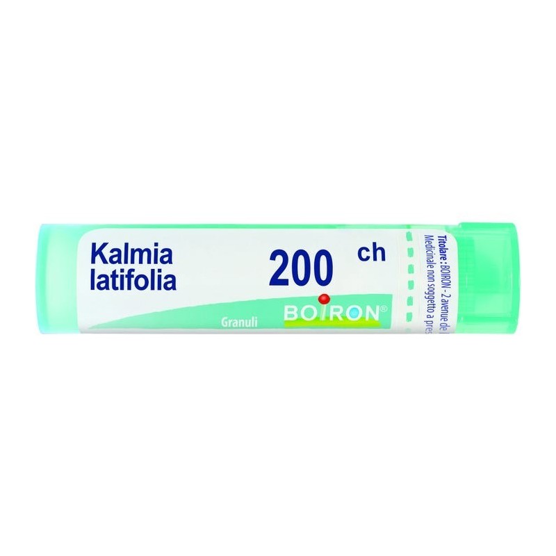 Boiron Kalmia Latif Boi 200ch 80gr 4g