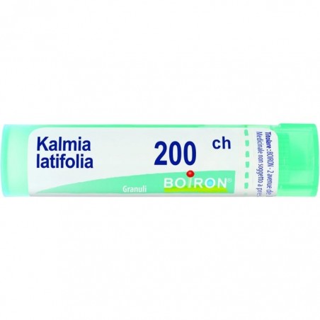 Boiron Kalmia Latif Boi 200ch 80gr 4g