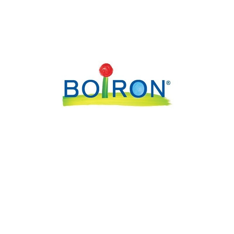 Boiron Carbo Vegetab 6ch Gr