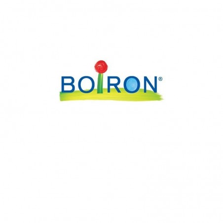 Boiron Carbo Vegetab 6ch Gr