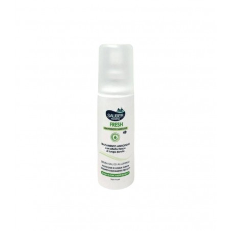 Italsilva Commerciale Sauber Fresh Deodorante Vapo 100 Ml