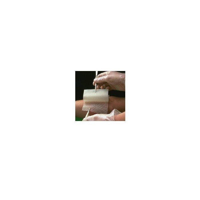 Smith & Nephew Garza Medicata Bactigras Con Clorexidina Acetato 0,5% 10x10cm 10 Pezzi