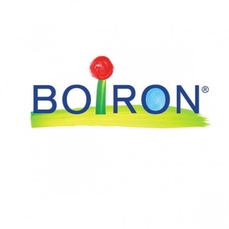 Boiron Magnesia Carb Boi 200ch Gl 1g