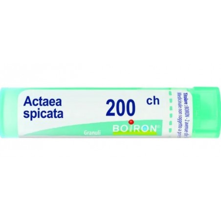 Boiron Actaea Spic Boi 200ch Gl 1g