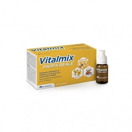 Montefarmaco Otc Vitalmix Pappa Reale 10flaconcini X10 Ml S/gl