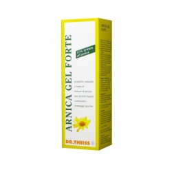 DR THEISS ARNICA GEL FTE 100