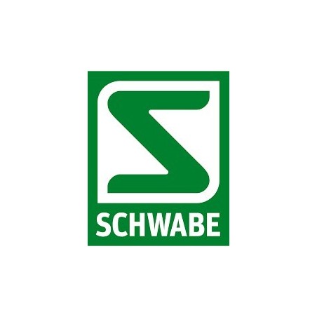 Schwabe Pharma Italia Kalobagola 20 Compresse Fragola