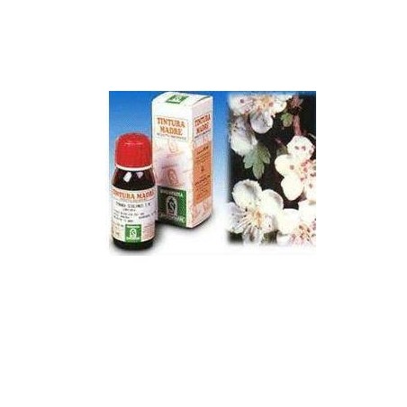 Specchiasol Biancospino 10 50ml Tm