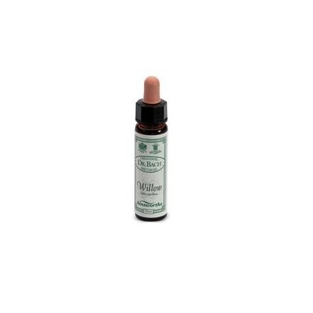 Santiveri Sa Ainsworths Willow 10ml