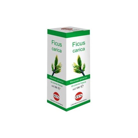 FICUS CARICA MG 100ML GTT