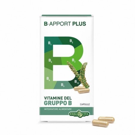 Erba Vita Group B-apport Plus 45 Capsule