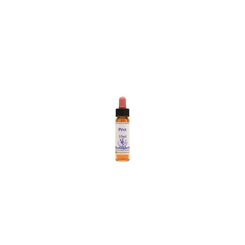 Natur Pine Essenza 10 Ml 1 Pezzo