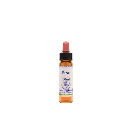 Natur Pine Essenza 10 Ml 1 Pezzo