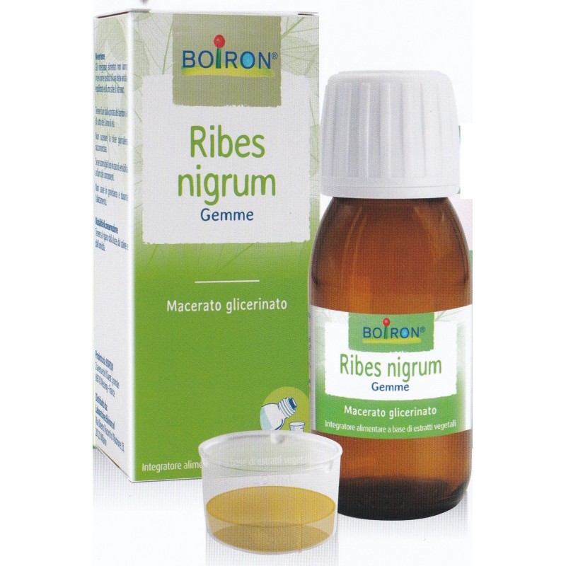 RIBES NIGRUM MG 60ML INT