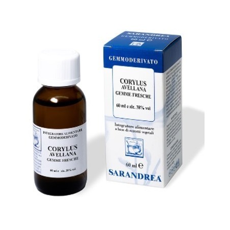 CORYLUS AVELLANA 60ML MG