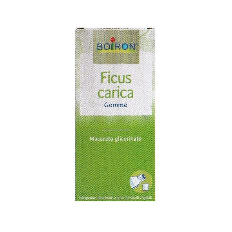 FICUS CARICA 1DH GTT 60ML INT