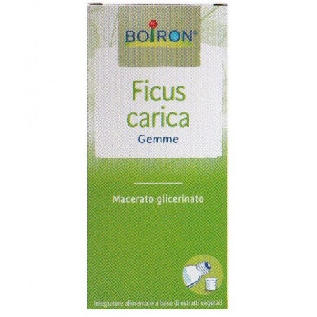 FICUS CARICA 1DH GTT 60ML INT