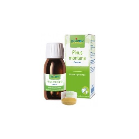 PINUS MONTANA MG 60ML INT