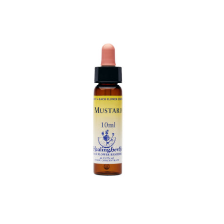 Natur Mustard Essenza 10 Ml 1 Pezzo