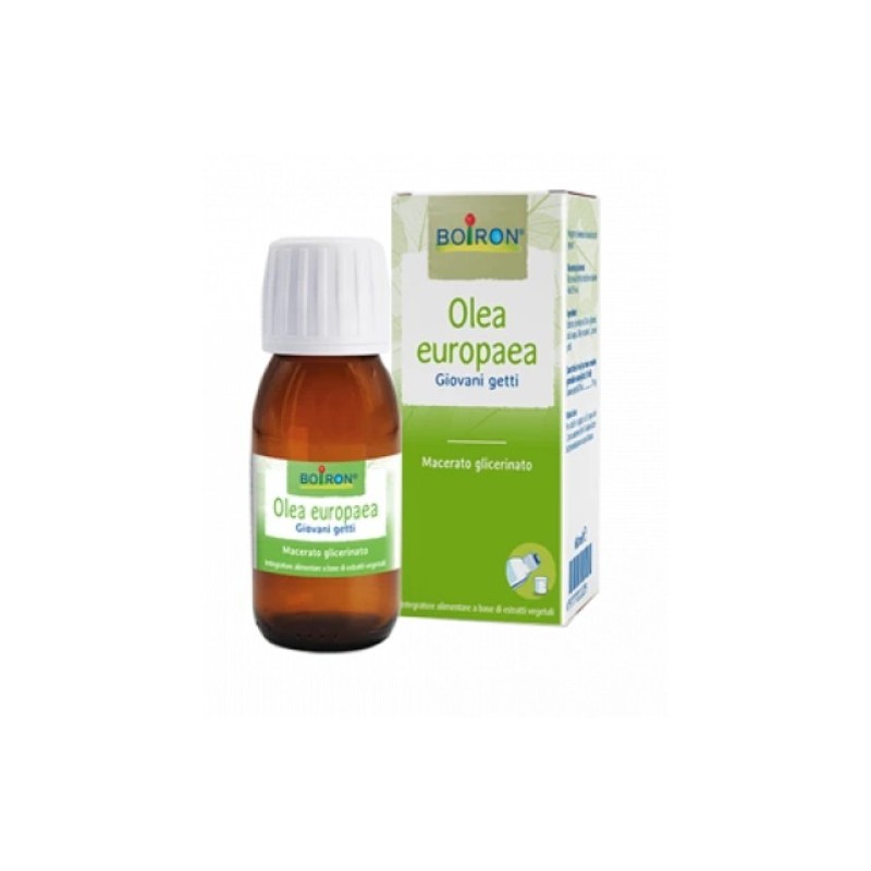 OLEA EUROPAEA MG 60ML INT