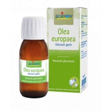 OLEA EUROPAEA MG 60ML INT