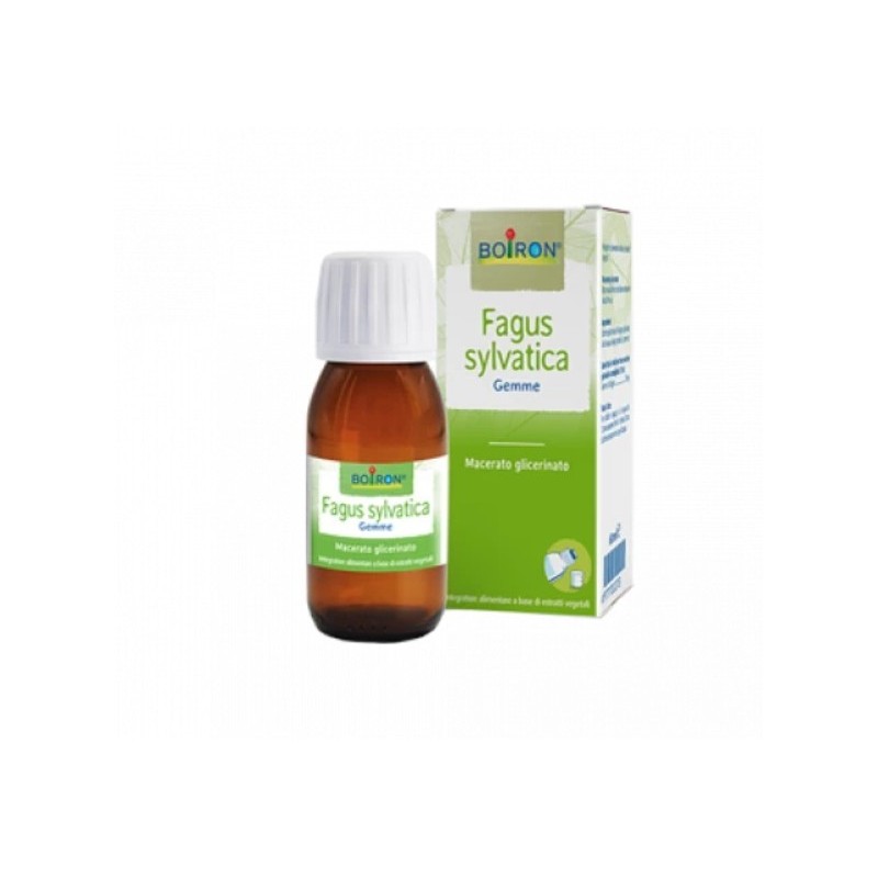 FAGUS SYLVATICA MG 60ML INT