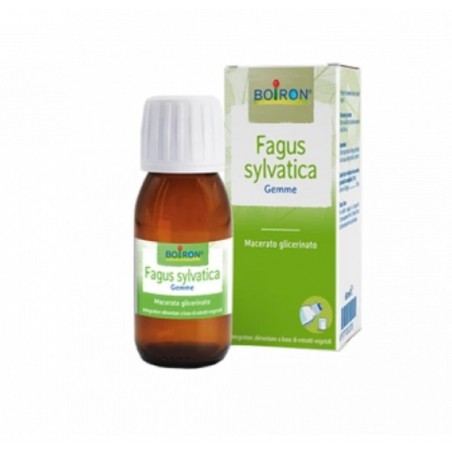 FAGUS SYLVATICA MG 60ML INT