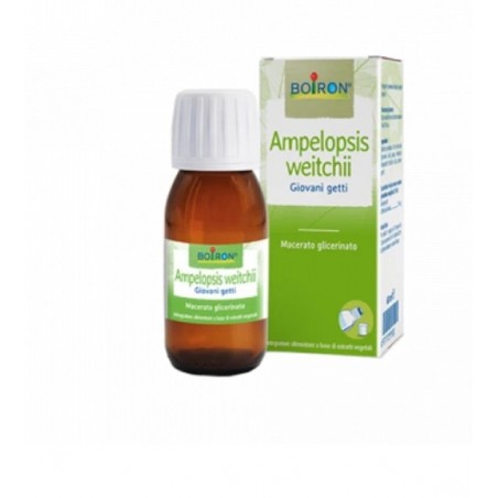 AMPELOPSIS WEI MG 60ML INT