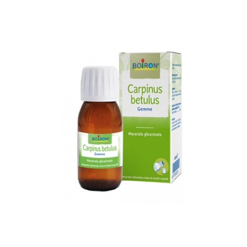 CARPINUS BETULUS MG 60ML INT