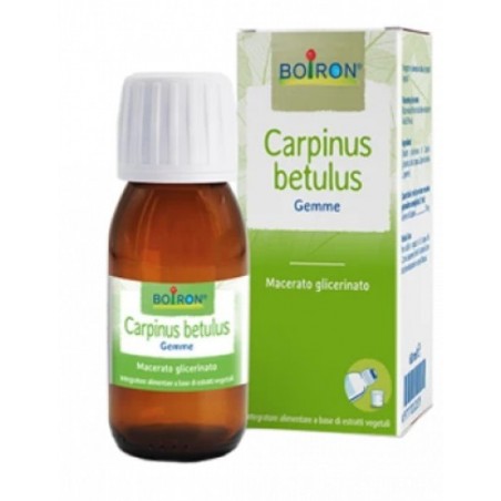 CARPINUS BETULUS MG 60ML INT