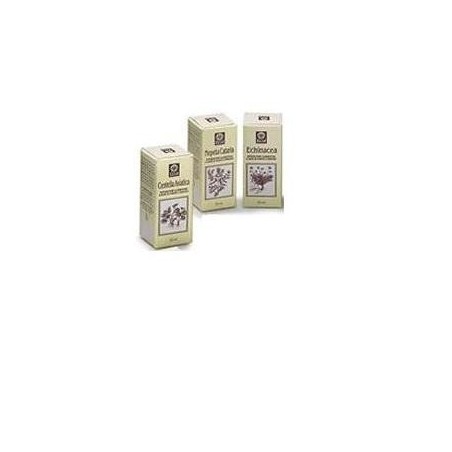 Ecol Echinacea Estratto Analcolico 50 Ml Articolo 813