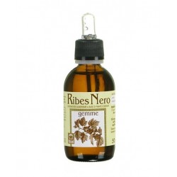 Ecol Ribes Nero Gemme 50 Ml