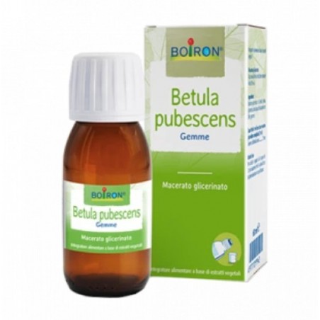 BETULA PUBESCENS MG 60ML INT