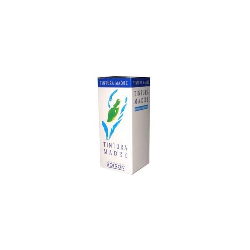 BETULA ALBA 60ML TM