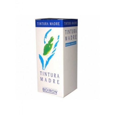 BETULA ALBA 60ML TM