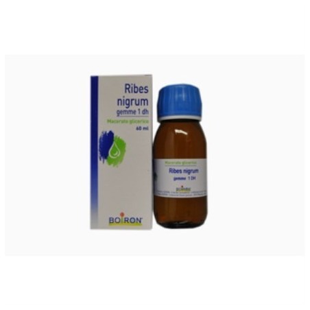 RIBES NIGRUM GEMME 60ML MG