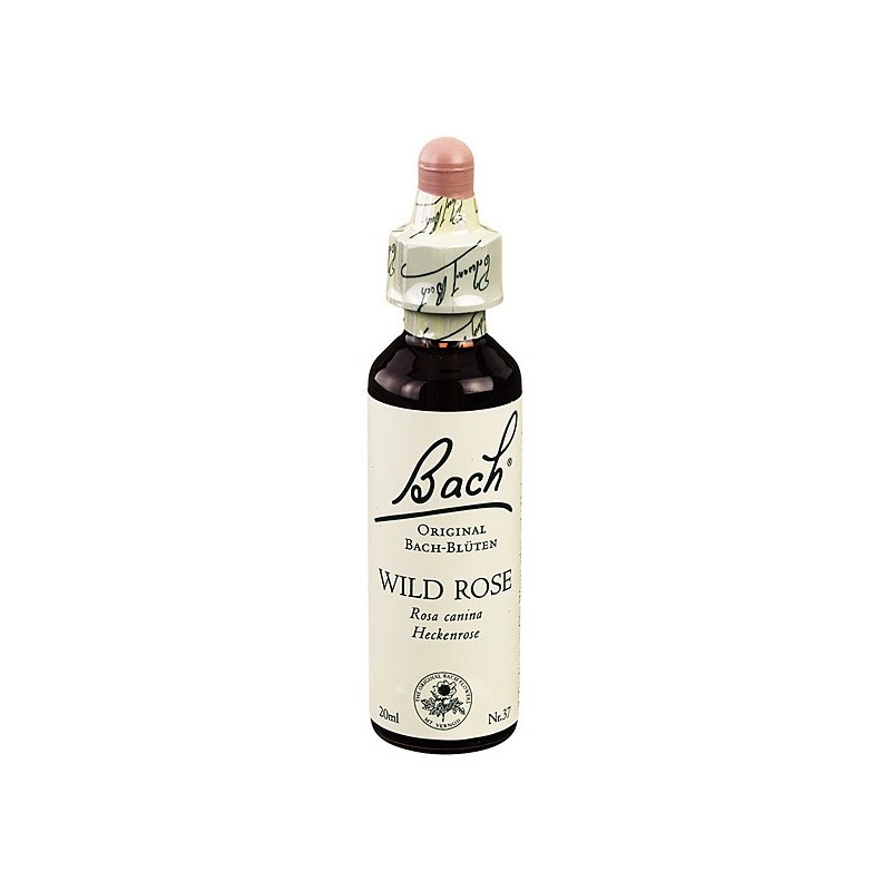 Schwabe Pharma Italia Wild Rose Bach Orig 20 Ml