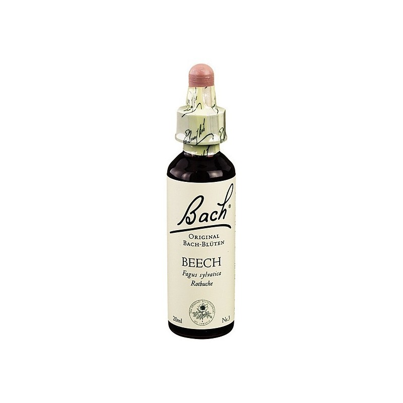 Schwabe Pharma Italia Beech Bach Orig 20 Ml