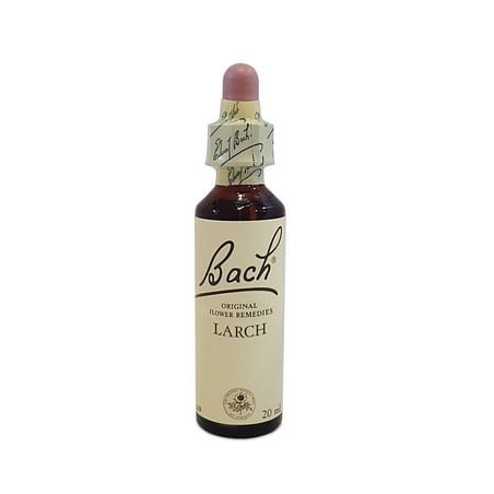 Natur Bach Center Ess Larch 20ml