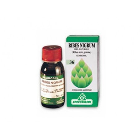 Specchiasol Gemmosol 36 Ribes Nero Macerato Glicerico 100 Ml