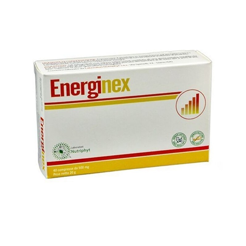 Anvest Health Soc. Benefit Energinex 10 Stick-pack 10 Ml