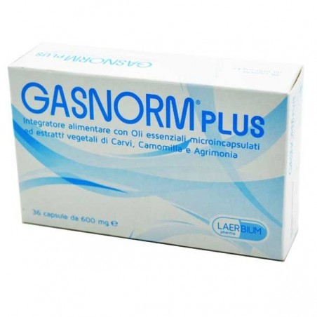 Laerbium Pharma Gasnorm Plus 36 Capsule