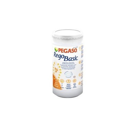 Schwabe Pharma Italia Regobasic Polvere 250 G