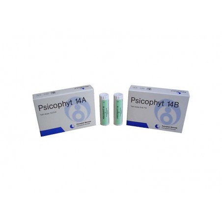 Biogroup Societa' Benefit Psicophyt Remedy 14a 4 Tubi 1,2 G