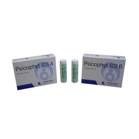 Biogroup Societa' Benefit Psicophyt Remedy 24 Sos B 4 Tubi 1,2 G