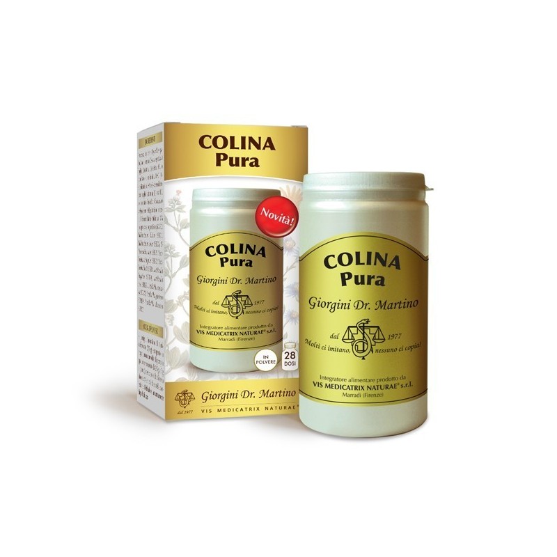 Dr. Giorgini Ser-vis Colina Pura Polvere Solubile 100 G