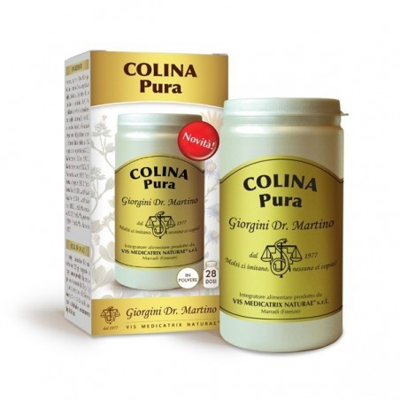 Dr. Giorgini Ser-vis Colina Pura Polvere Solubile 100 G