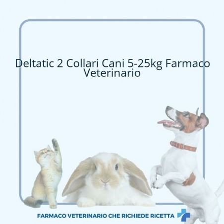 Vetpharma Animal Health S. L. Deltatic Collare Medicato Per Cani Di Piccola E Media Taglia