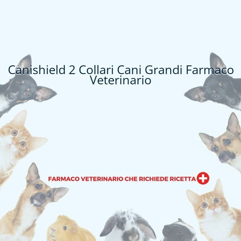 Beaphar B. V. Canishield 1,04 G Collare Medicato Per Cani Di Taglia Grande