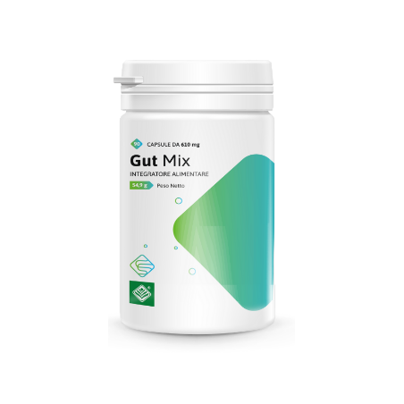 Gheos Gut Mix 90 Capsule